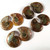 2 to 2.5 cm. Ammonite Pair 1 (One) pair - AAA