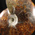 Whole Sutured Ammonite - FAMM103