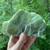 Garnierite "Green Moonstone" Slab GAR028