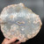 Flower Agate Slab FA009