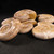 Rare Polished White Ammonite - 1 piece 2.5 - 2.75 inches