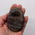 Black Moonstone Palmstone - BMN024 Black Moonstone Palmstone - BMN024