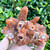 Rare Red Moroccan "Red Dragon Quartz" QTZ314