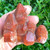 Rare Red Moroccan "Red Dragon Quartz" QTZ317