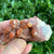 Rare Red Moroccan "Red Dragon Quartz" QTZ318
