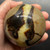 Septarian Sphere SPT009