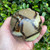 Septarian Sphere SPT009