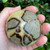 Septarian Sphere SPT011