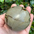 Septarian Sphere SPT011