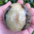 Septarian Sphere SPT012 Septarian Sphere SPT012