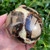 Septarian Sphere SPT014