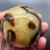 Septarian Sphere SPT016 Septarian Sphere SPT016