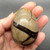 Septarian Druzy Dragon Egg SPT023 Septarian Druzy Dragon Egg SPT023