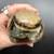 Septarian Druzy Dragon Egg SPT035 Septarian Druzy Dragon Egg SPT035