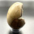 Septarian Druzy Dragon Egg SPT039 Septarian Druzy Dragon Egg SPT039