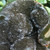 Septarian Eggy Druzy Palmstone SPT046 Septarian Eggy Druzy Palmstone SPT046