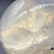 Lightly Smoky Girasol Crystal Skull MDSKU039