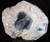 Celestite Specimen - MCEL015 - Regularly $244.00