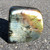 Madagascar Spectralite / Labradorite Freeform - MSPEC028 - Regularly $116.00
