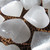 Selenite Heart - MSelH002