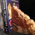 Petrified Wood Bookends - GBKND006