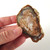 Petrified Wood Mini Slabs, Set of 4 - FPET039