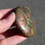 Red Flash Ammonite - FAMM120