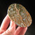 NEW STOCK  Ocean Jasper Medallion - MOJMED061