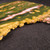 Kabamby Ocean Jasper Slab - MOJSL064