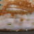 Ocean Jasper Freeform, 1 side polished - MOJFF072