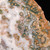 Ocean Jasper (TM) Slab - MOJSL079 Ocean Jasper (TM) Slab - MOJSL079