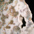 Ocean Jasper (TM) Slab - MOJSL079 Ocean Jasper (TM) Slab - MOJSL079
