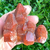 Rare Red Moroccan "Red Dragon Quartz" QTZ317