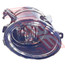0065094-72G -FOG LAMP -R/H -TO SUIT BMW 5'S E39 1996-03 M5