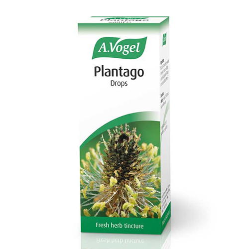 A.VOGEL PLANTAGO LANCEOLATA 50ML