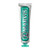 MARVIS TOOTHPASTE CLASSIC STRONG MINT 75ML MARVIS TOOTHPASTE CLASSIC STRONG MINT 75ML