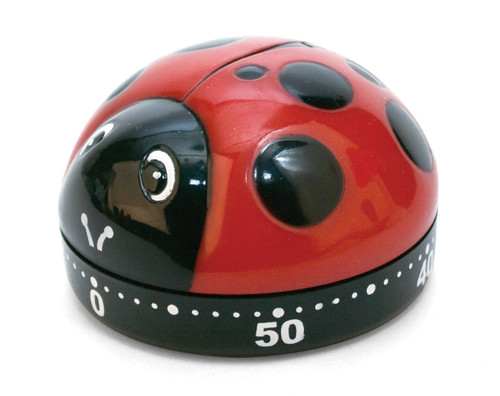 Kitchen Ladybug Timer