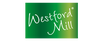 Westford Mill