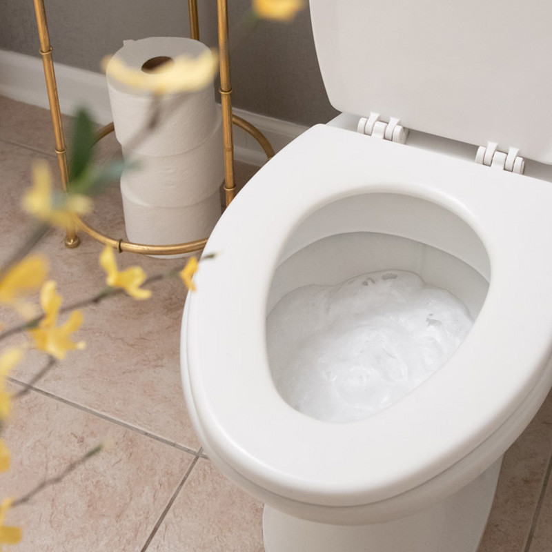 EC30 Shop Toilet Cleaner Drops