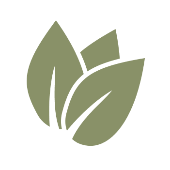 bullet-icon