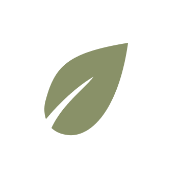bullet-icon