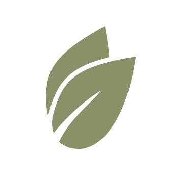 bullet-icon
