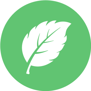 REFRESHING MINT TASTE