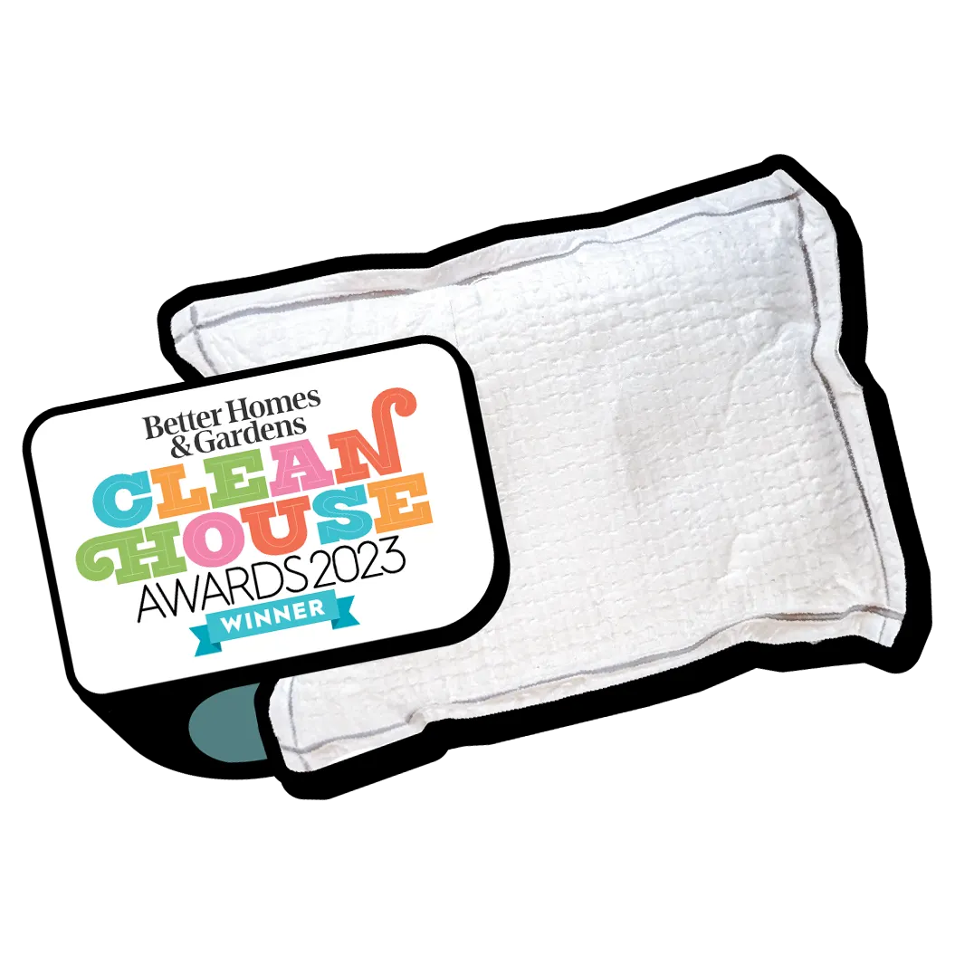 Toilet cleaner
