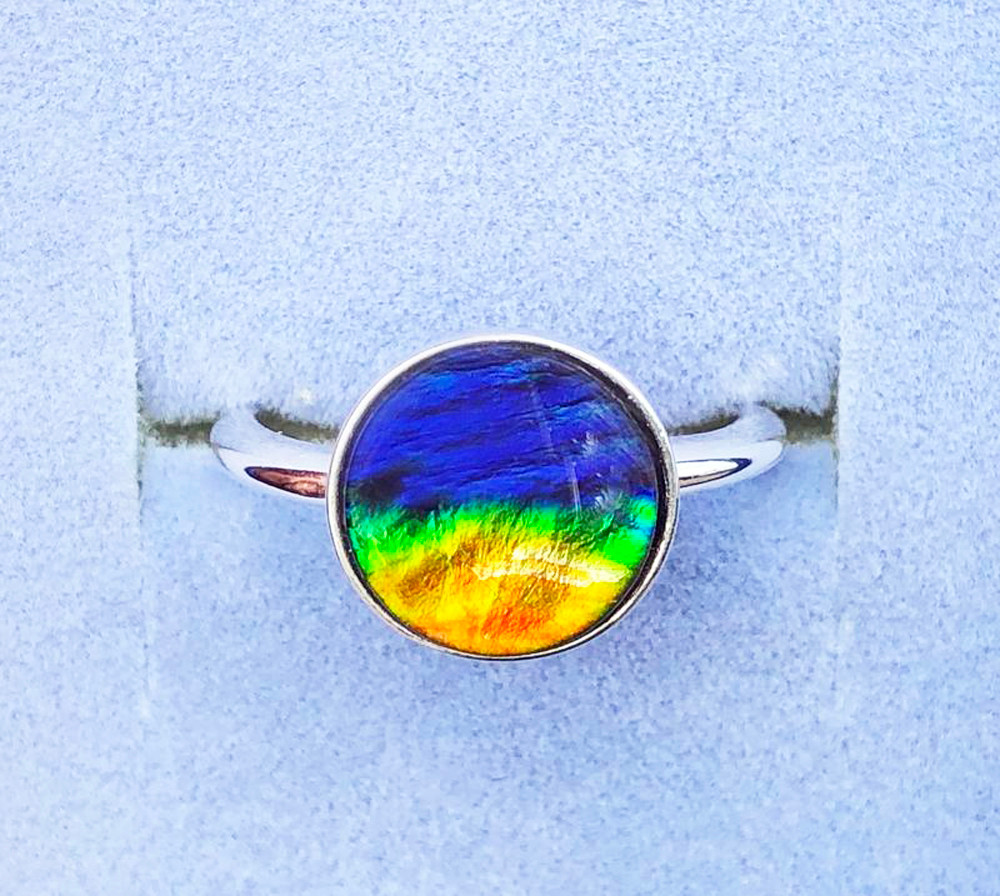 Natürlicher Ammonit Fossil Edelstein 925 Sterling Silber Schmuck