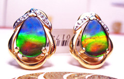 Korite Ammolite Pear Omega Back Earrings 19KGE Korite Ammolite Pear Omega Back Earrings 19KGE