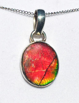 Ammolite Oval Sterling Silver Pendant 22SP Ammolite Oval Sterling Silver Pendant 22SP