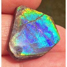 Ammolite Natural Polished Loose Stone Freeform 5HPLS Ammolite Natural Polished Loose Stone Freeform 5HPLS
