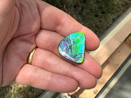 Ammolite Imperial Double Sided Loose Stone 10aIMLS Ammolite Imperial Double Sided Loose Stone 10aIMLS