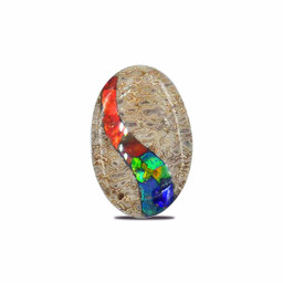 Fossil Dinosaur Bone with Ammolite Inlay Cabochon 20×30 mm Oval Fossil Dinosaur Bone with Ammolite Inlay Cabochon 20×30 mm Oval